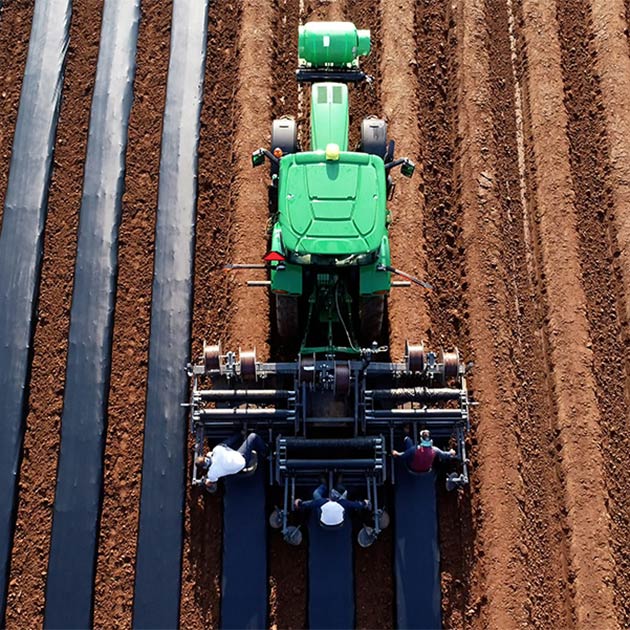 A Stronger Start Begins in the Soil