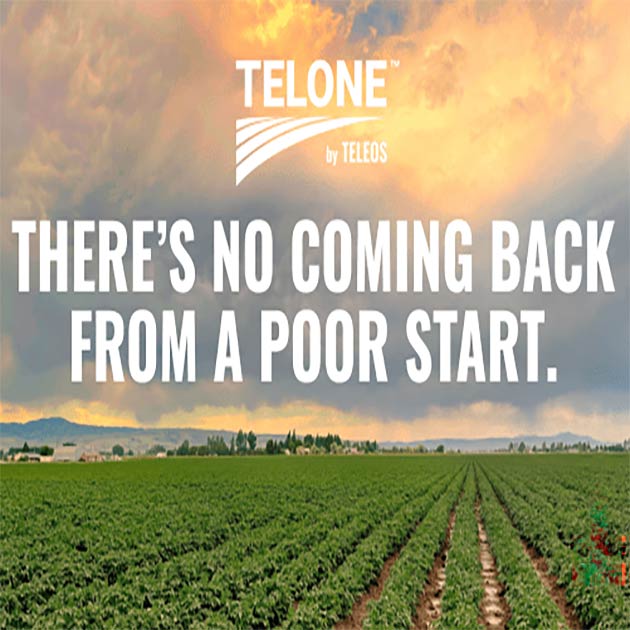 Don’t Let Nematodes Ruin Your Season Before it Starts!