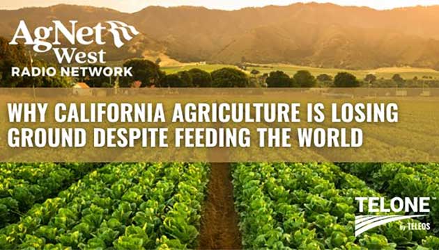 Why California Agriculture is Losing Ground