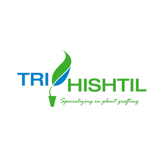 TriHishtil