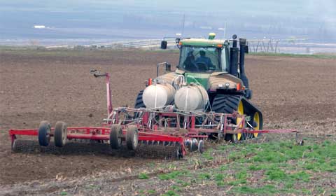 Trident fights Common Scab, Verticillium Wilt & Black Dot