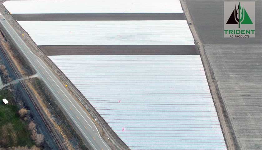 A Fresh Look from Above: Laying the Groundwork for Success