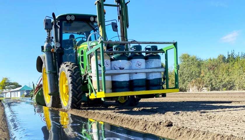Strawberry Season Begins with Quality Soil Preparation