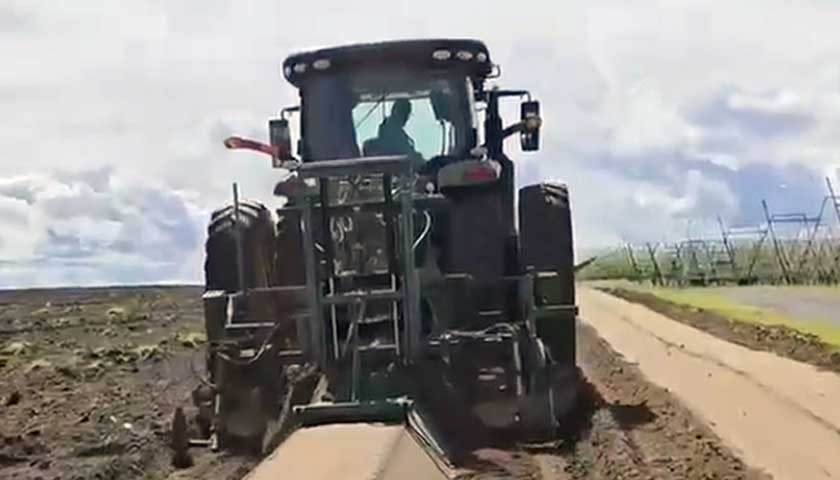 Soil Fumigation for a Healthier Blueberry Future