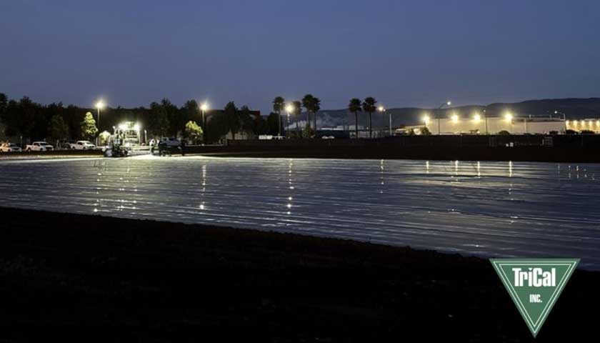 Strawberry Field Undergoing Soil Fumigation