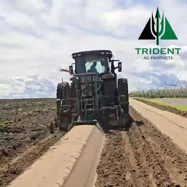 Soil Fumigation for a Healthier Blueberry Future