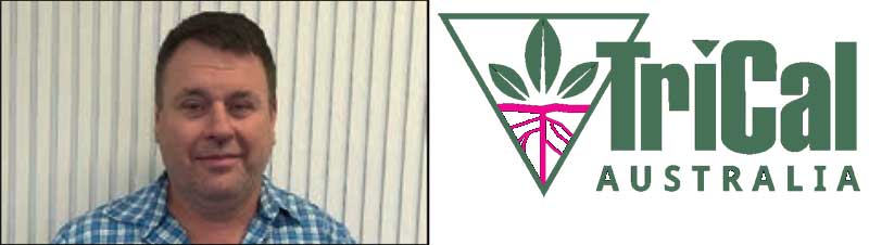 Meet Ross Mayfield, Trical Australia General Manager