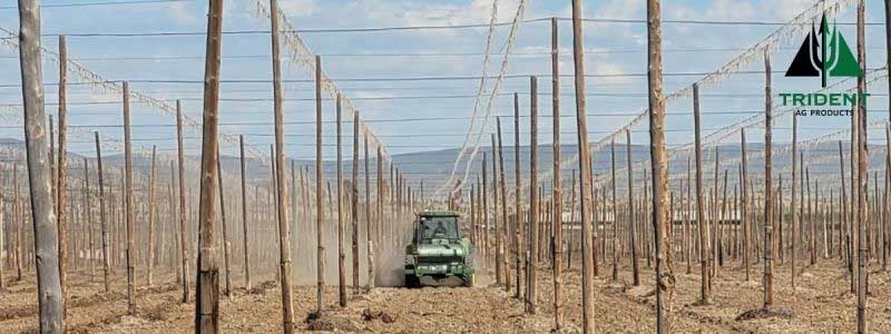 Healthy Soil is Essential for a Productive Hop Yard