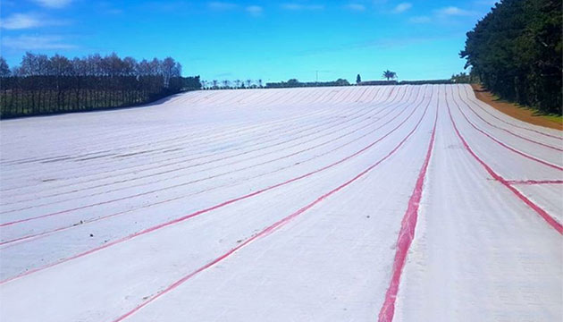 Efficient Soil Fumigation in Action