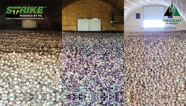 Whether Red, White, or Yellow, Strike&trade; helps Set your Onions