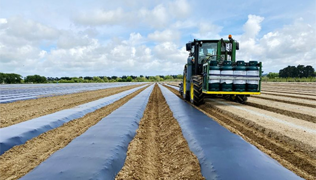 Soil Fumigation in Nelson Zone, South Island