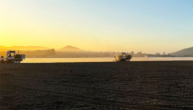 Strawberries Thrive in Healthy Soil