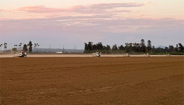 Strong Strawberry Crop Starts with a Solid Foundation