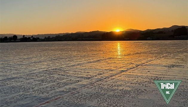 A Strong Start Begins Early