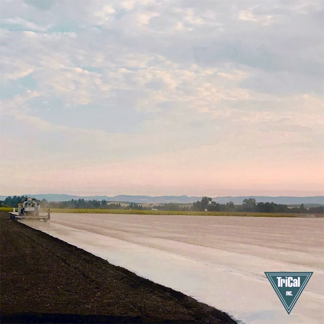 Trical Works Alongside Growers to Improve Soil Conditions