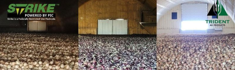 Whether Red, White, or Yellow, Strike&trade; helps Set your Onions