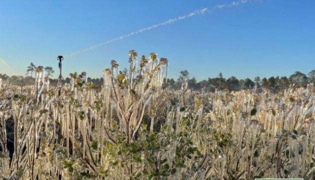 Be Prepared for Frost in 2026