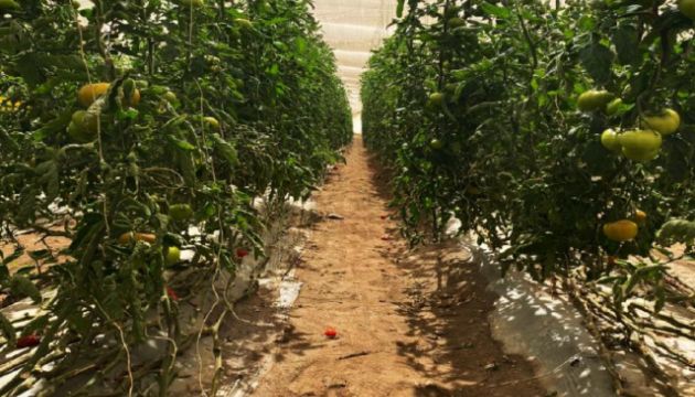 Quality that is Built from the Ground Up! 