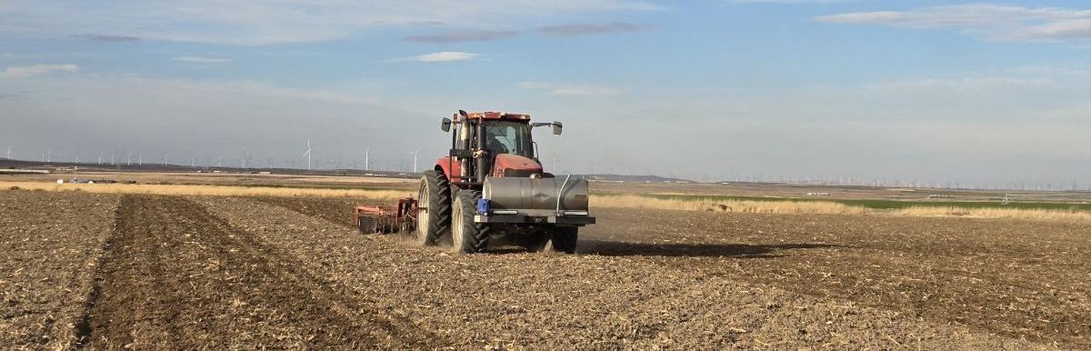 Another Potato Trial in the Books