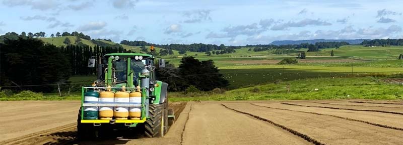 Fumigation for Healthier Carrot Crops!