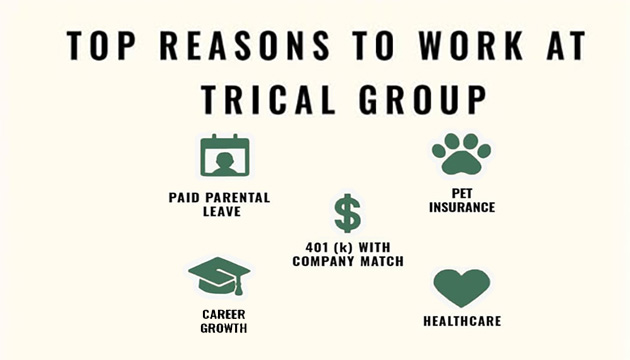 Why Work at TriCal Group?