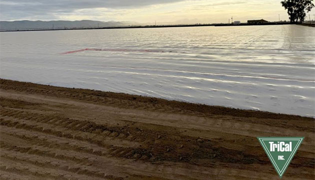 Preparing for a Successful Strawberry Season
