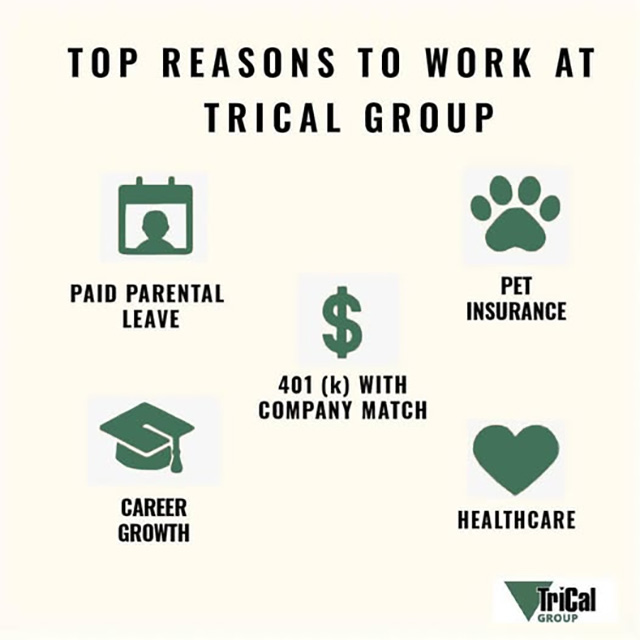 Why Work at TriCal Group?