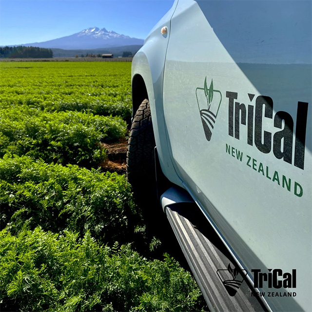 On the Road with TriCal NZ