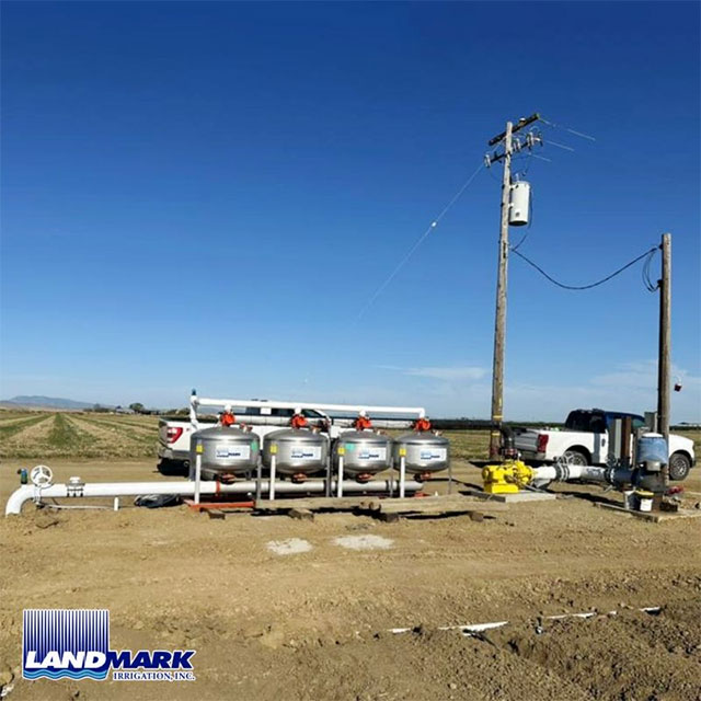 Tomato Growers Thrive with Uniform Water Coverage