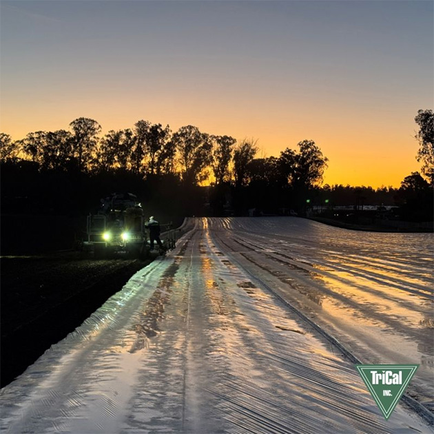 Early Morning with Trical Inc.