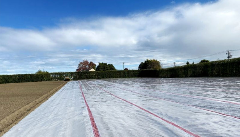 Preparing the Soil for Future Apple Trees