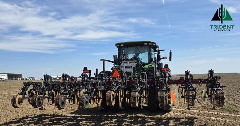 New Research - Ready for Sweet Corn Trial