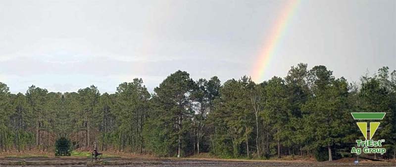 Double Rainbows Grace Irrigation Project