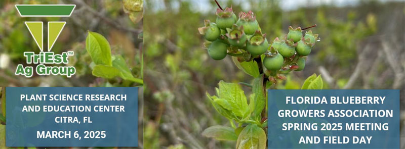 Florida Blueberry Growers Meeting and Field Day