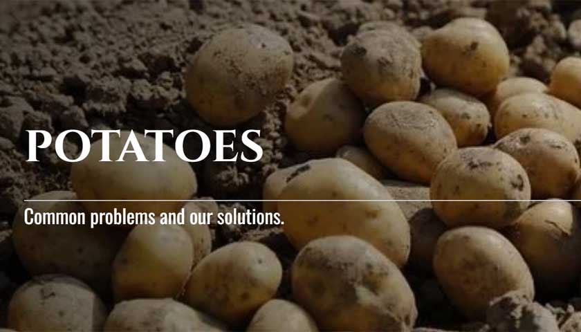 Teleos Ag's New Potato-Specific Crop Page