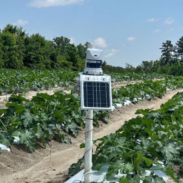Smarter Zucchini Irrigation with  GrowSphere ONE