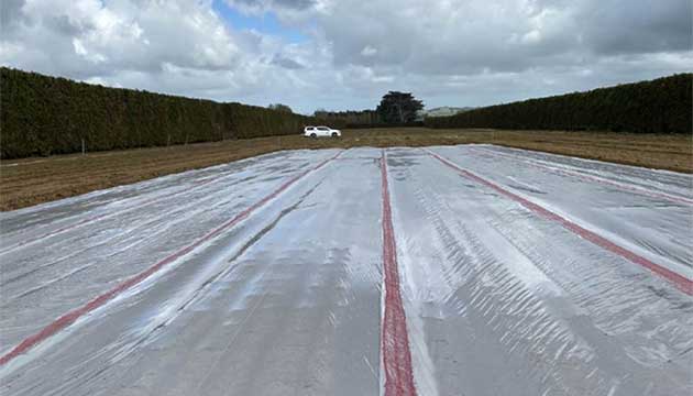 Pine Tree Nursery Trials underway in New Zealand