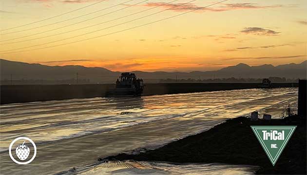 Soil Fumigation this Season can Maximize Next Year’s Yield