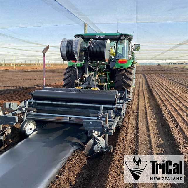 Commercial Soil Fumigation