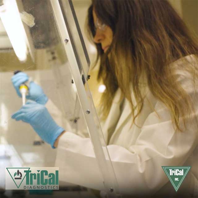 Early Detection Makes the Difference