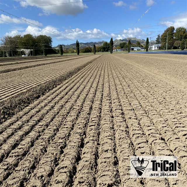 The Work you don’t see is what Drives the Results you do!