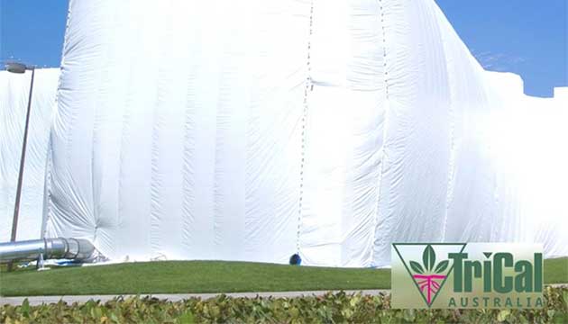 ProFume in Structural Fumigation