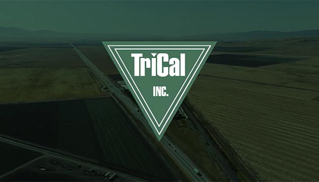 New Trical, Inc Overview Video