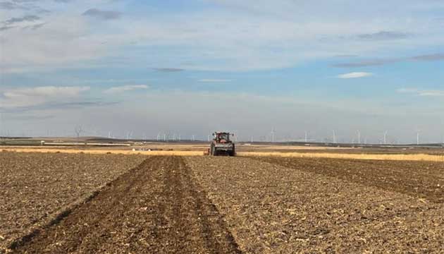 Potatoes | Boardman, Oregon 