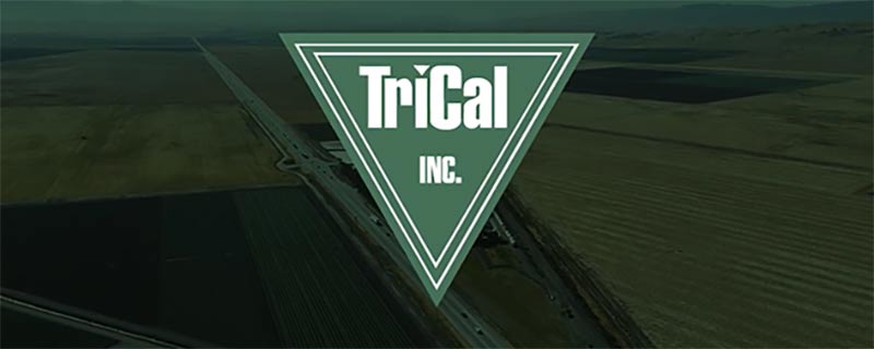 New Trical, Inc Overview Video