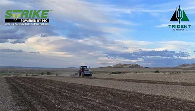 Set the Stage for Healthier Plants and Higher-Quality Yields