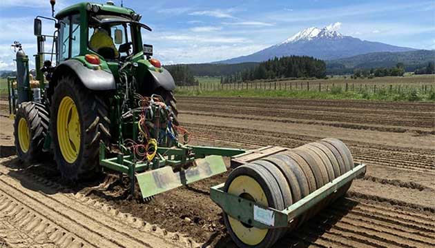 Strong Crops Start from the Ground Up 
