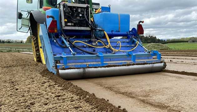 Preparing the soil for strong blooms 