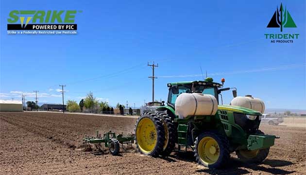 Soil Fumigation Helps Manage Risks for Onions