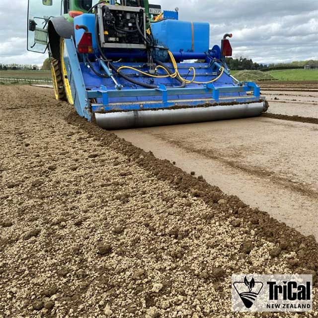 Preparing the soil for strong blooms 